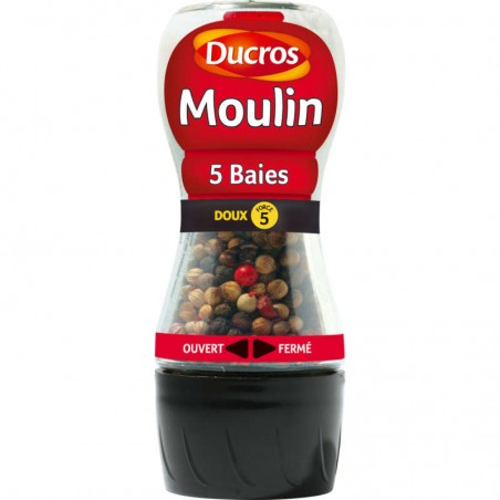 DUCROS Moulin - Mélange 5 Baies - doux 24g